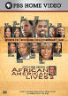 African American Lives 2